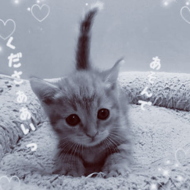 runaさんの実例写真