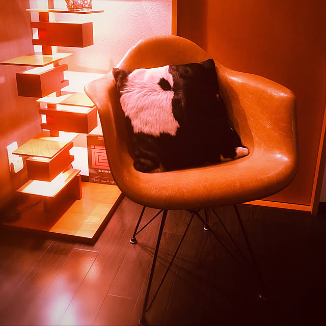 zacさんの実例写真