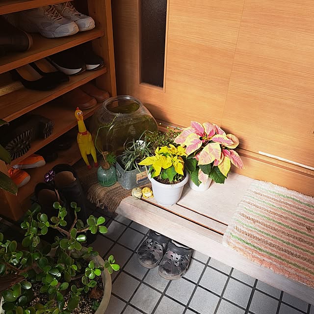 kiyohima229さんの部屋