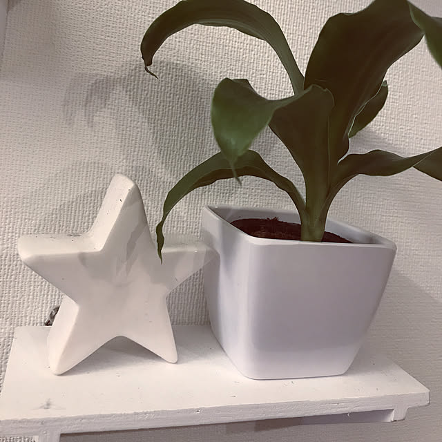 shocooさんの実例写真