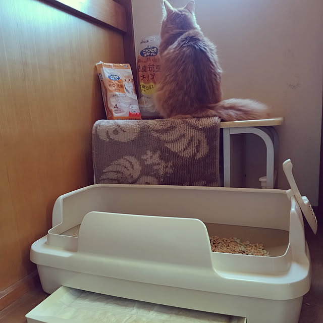 shirabenさんの実例写真