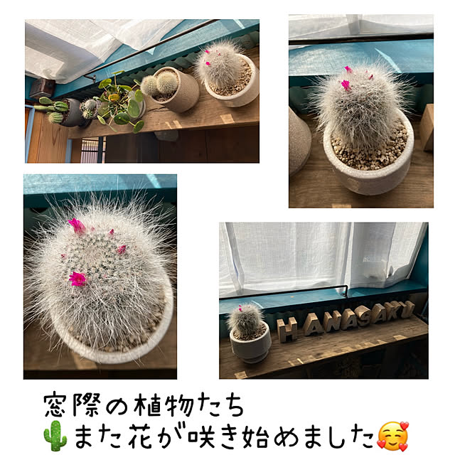 mkk8739hanasakuさんの実例写真