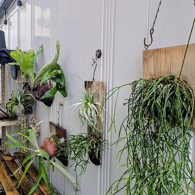 ot-gardenさんの部屋