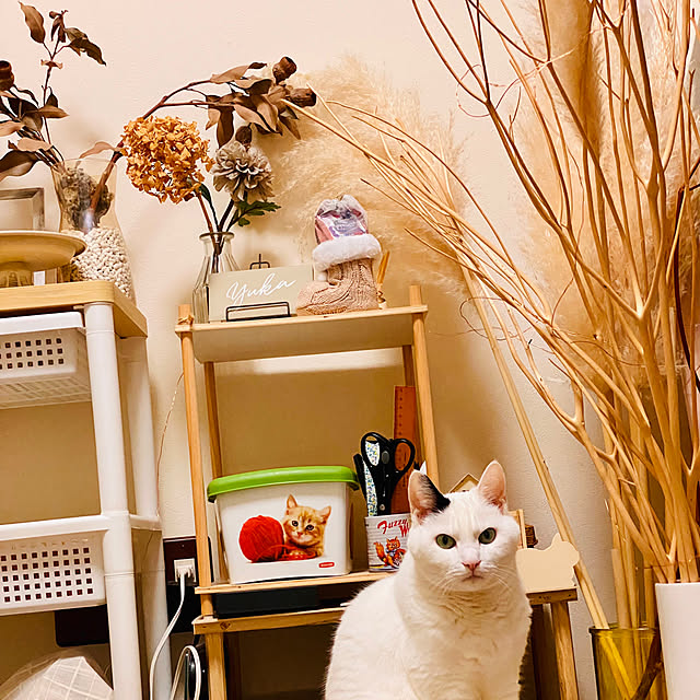 YUKAさんの部屋
