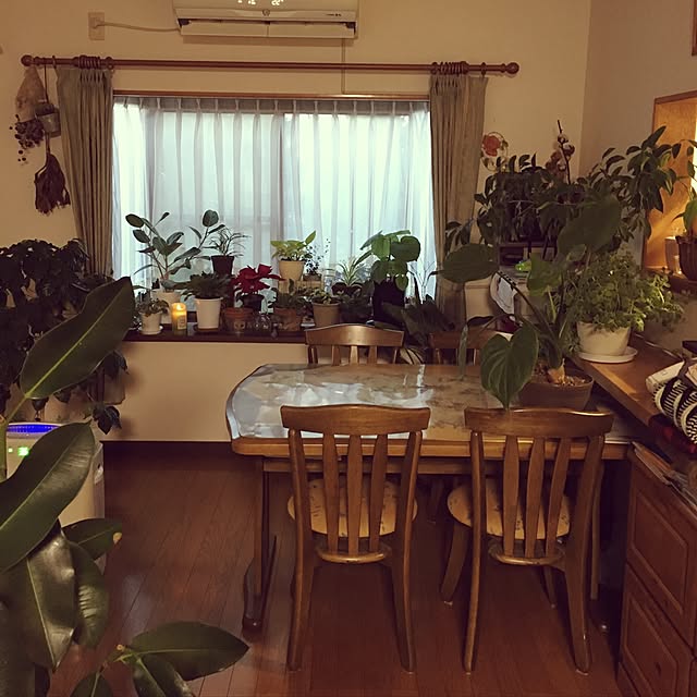 niconさんの実例写真