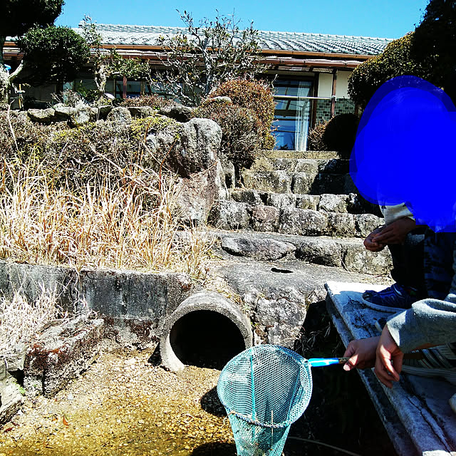 pontaさんの実例写真