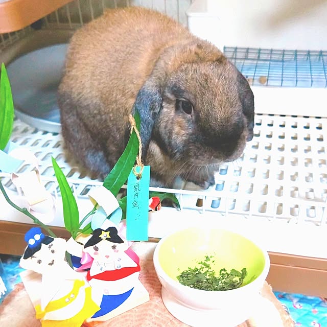 mariaさんの部屋