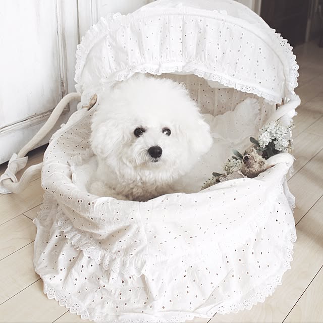 happy_bridgeさんの実例写真