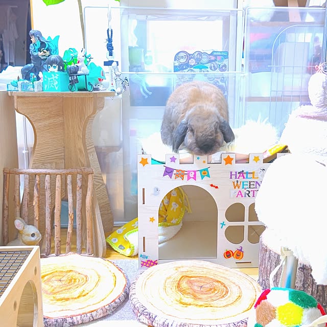 mariaさんの実例写真