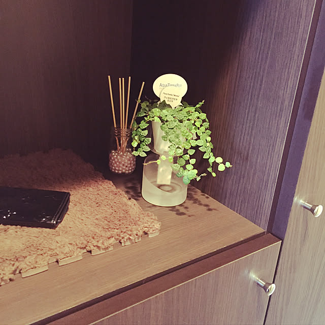 玄関/入り口/観葉植物/ダイソーのインテリア実例 - 2017-09-07 11:19:45
