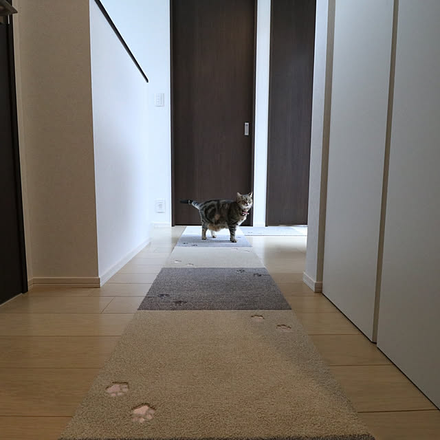 NANACOCOさんの実例写真
