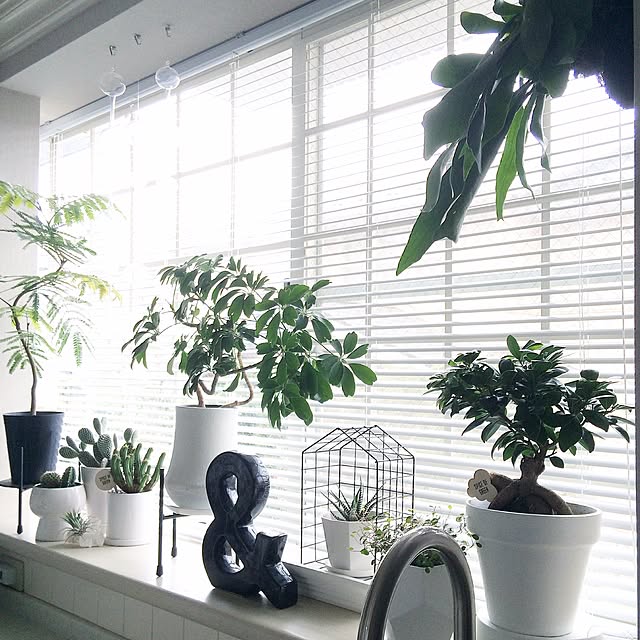 k.home1224さんの実例写真
