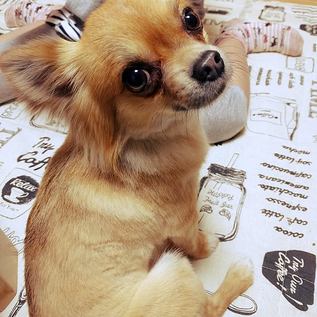 rie20さんの実例写真