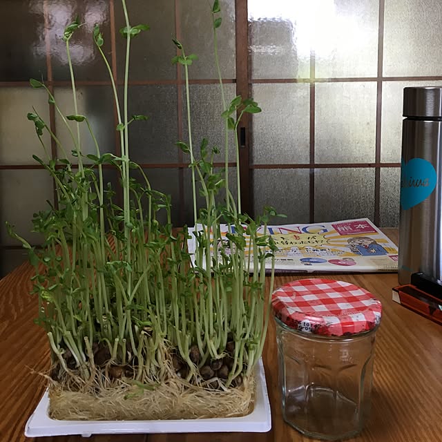 Ryosukiさんの実例写真