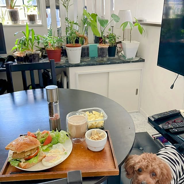 MOMOMAMAさんの部屋