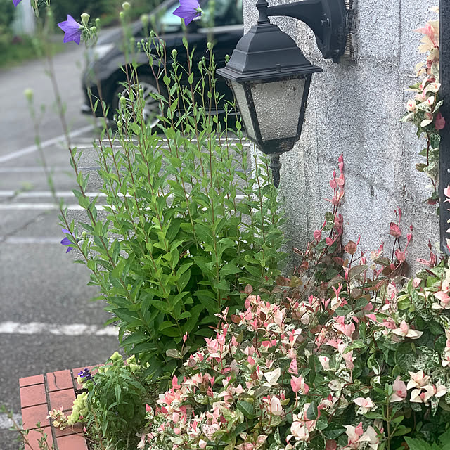 masakoさんの部屋