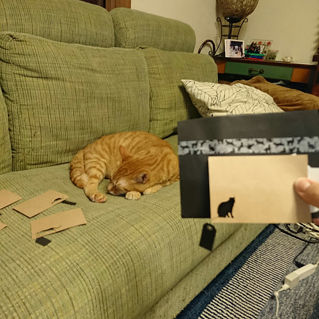 okyosan101さんの実例写真