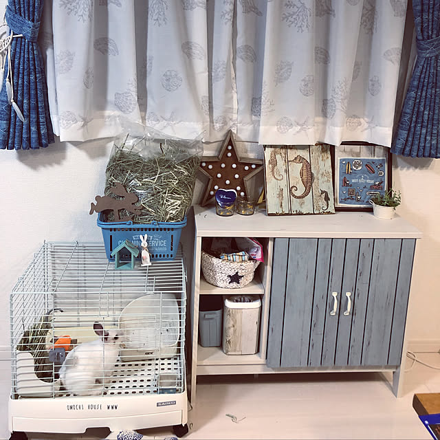 ak1n0sukeさんの実例写真