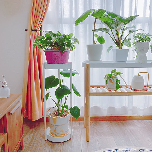 yuyuさんの部屋