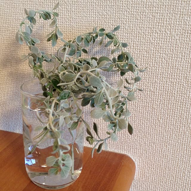 mizuna_kaikaiさんの実例写真