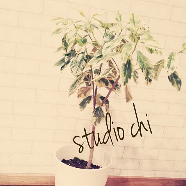 chiさんの実例写真
