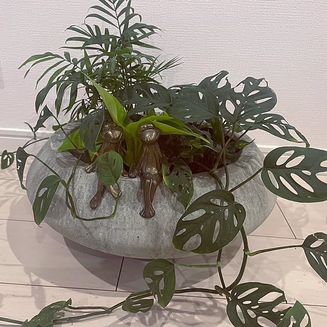 tricoさんの部屋