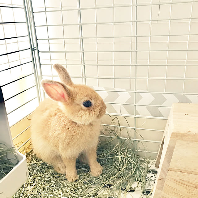 marriさんの実例写真