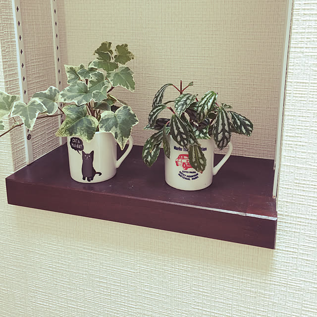 yoshieさんの実例写真