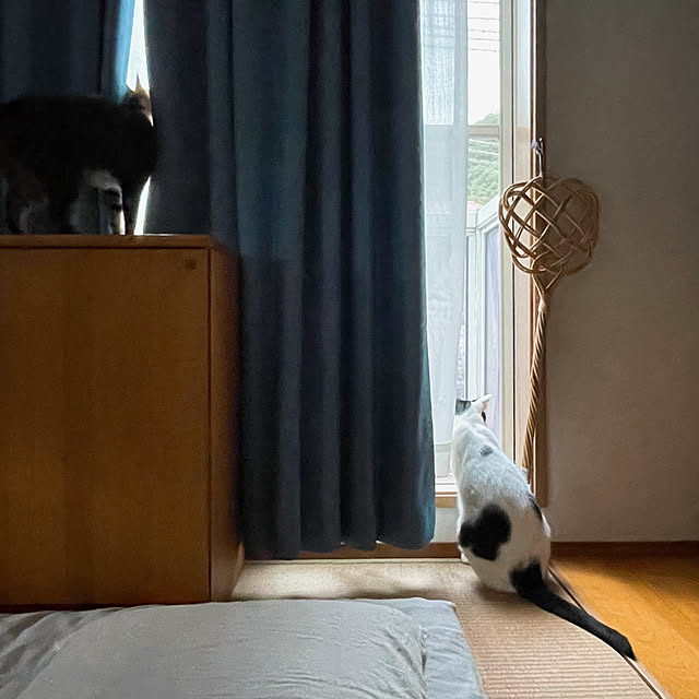 nobikoさんの実例写真