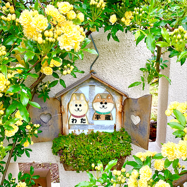 heizouwataさんの実例写真