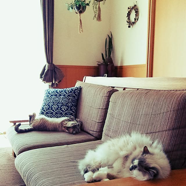 mizu.さんの実例写真