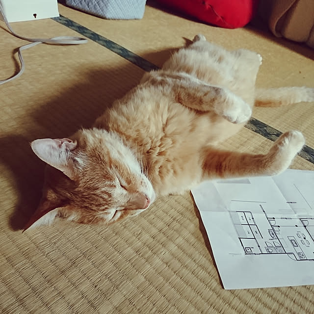 keiさんの実例写真