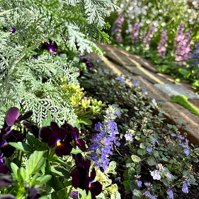 kyoko1124koさんの部屋