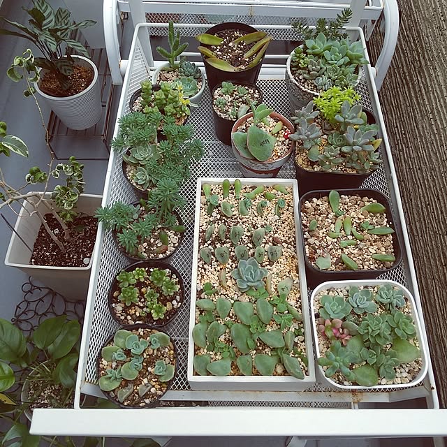 meiさんの部屋