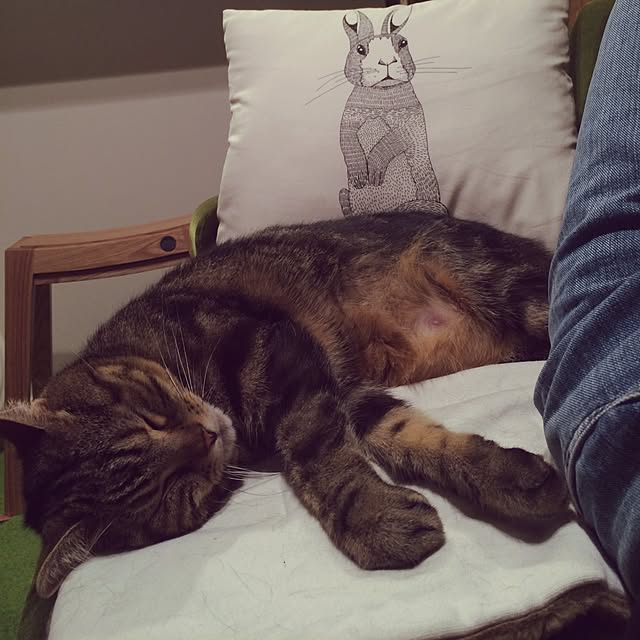 mikomaruさんの実例写真