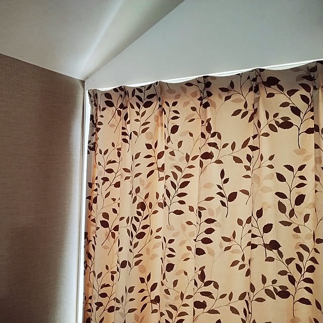 akiさんの実例写真