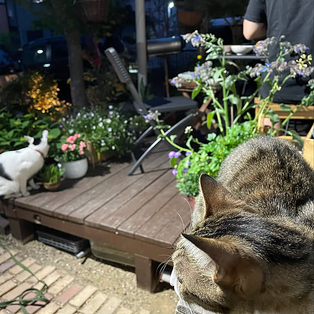 nobikoさんの実例写真