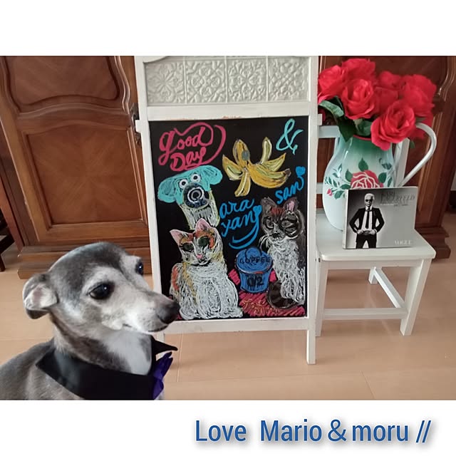 moruさんの部屋