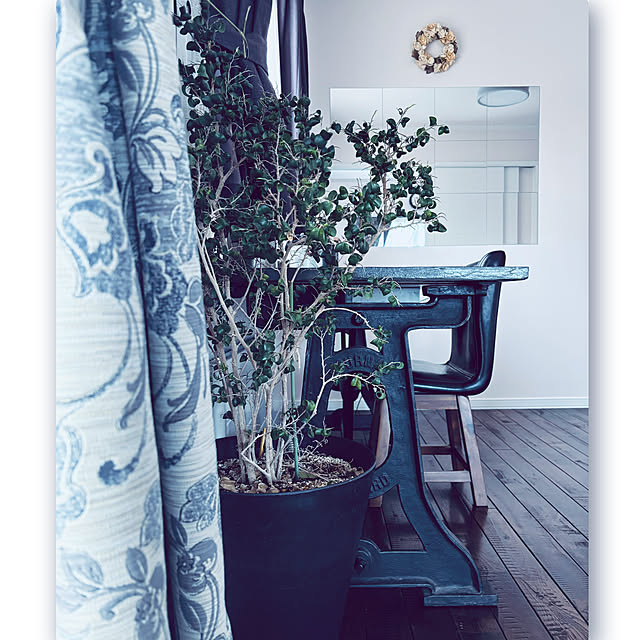 usagiさんの部屋