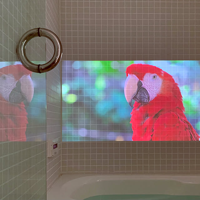 igukenさんの実例写真