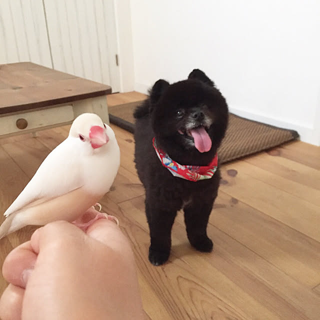 Momoさんの実例写真