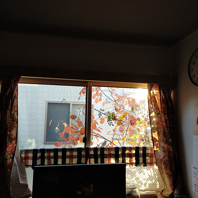 tamachan235さんの実例写真