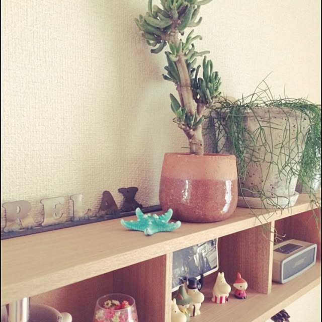 shiodesさんの実例写真