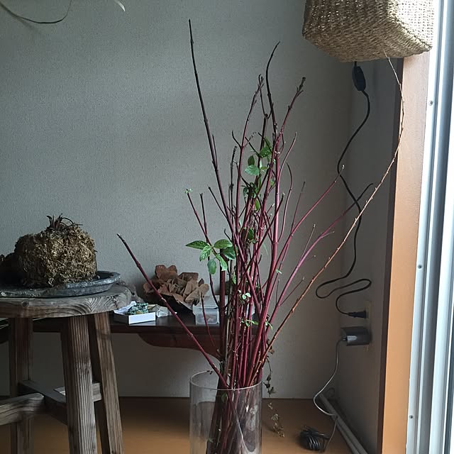 sapiniaさんの実例写真