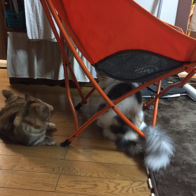keibooさんの実例写真