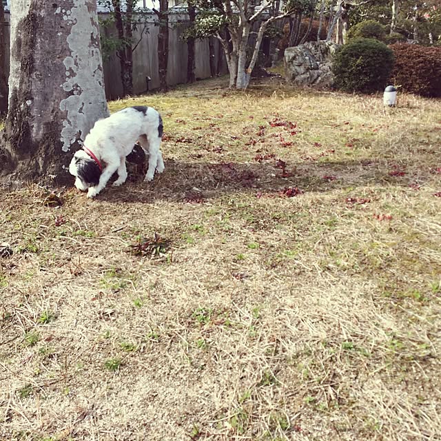 nuiさんの実例写真