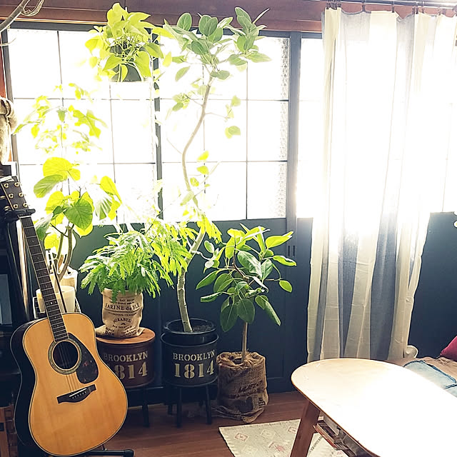 saku-naraさんの実例写真