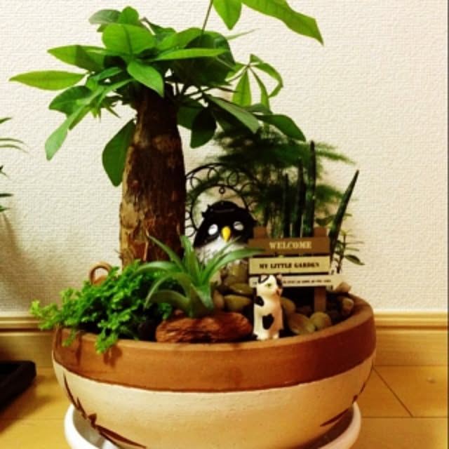Nobuhideさんの実例写真