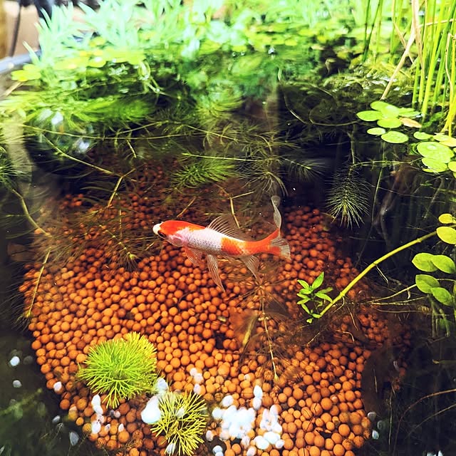 noahさんの実例写真