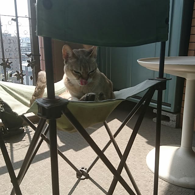saeさんの実例写真
